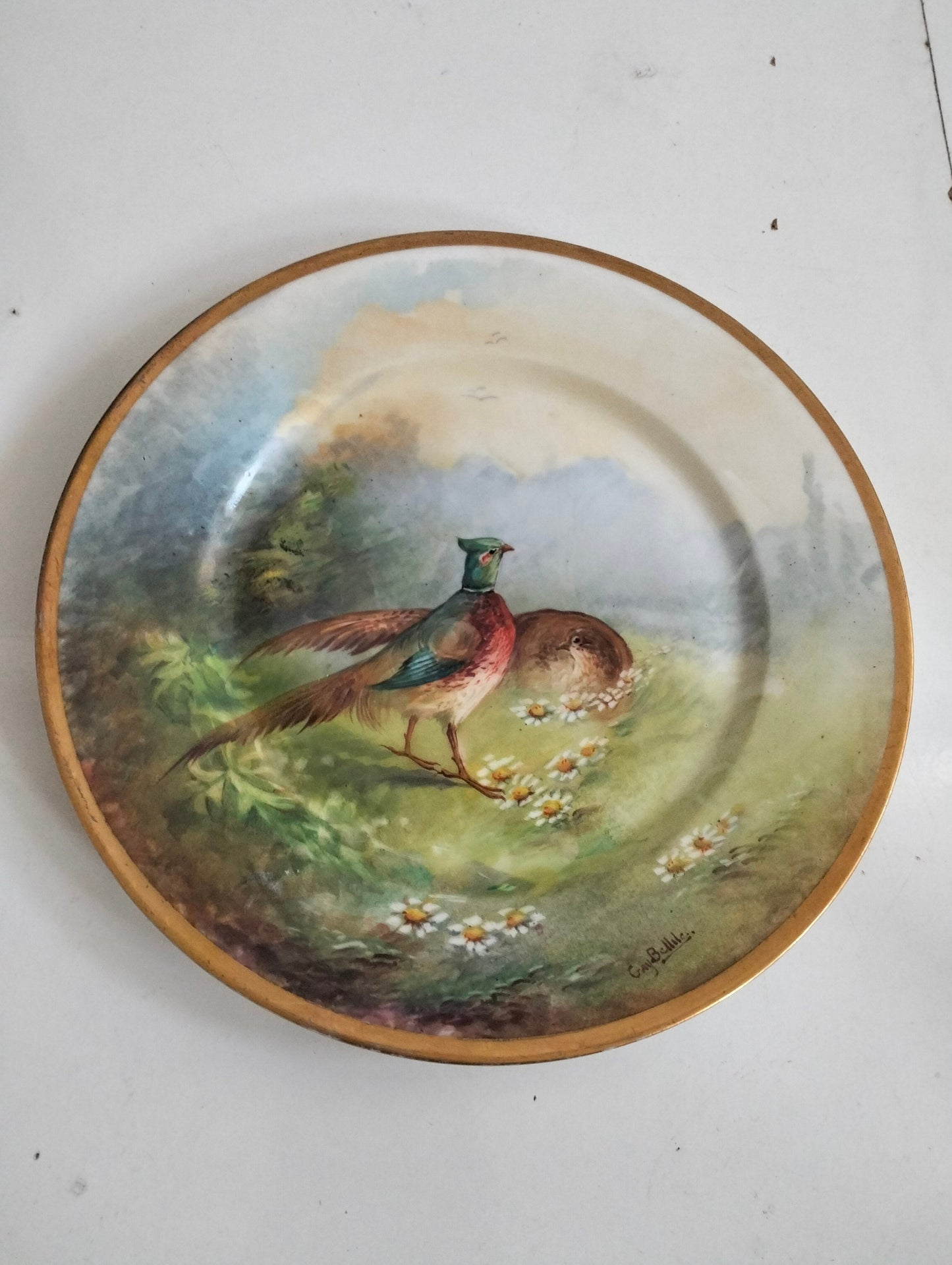Piatto decorativo a venir France Limoge