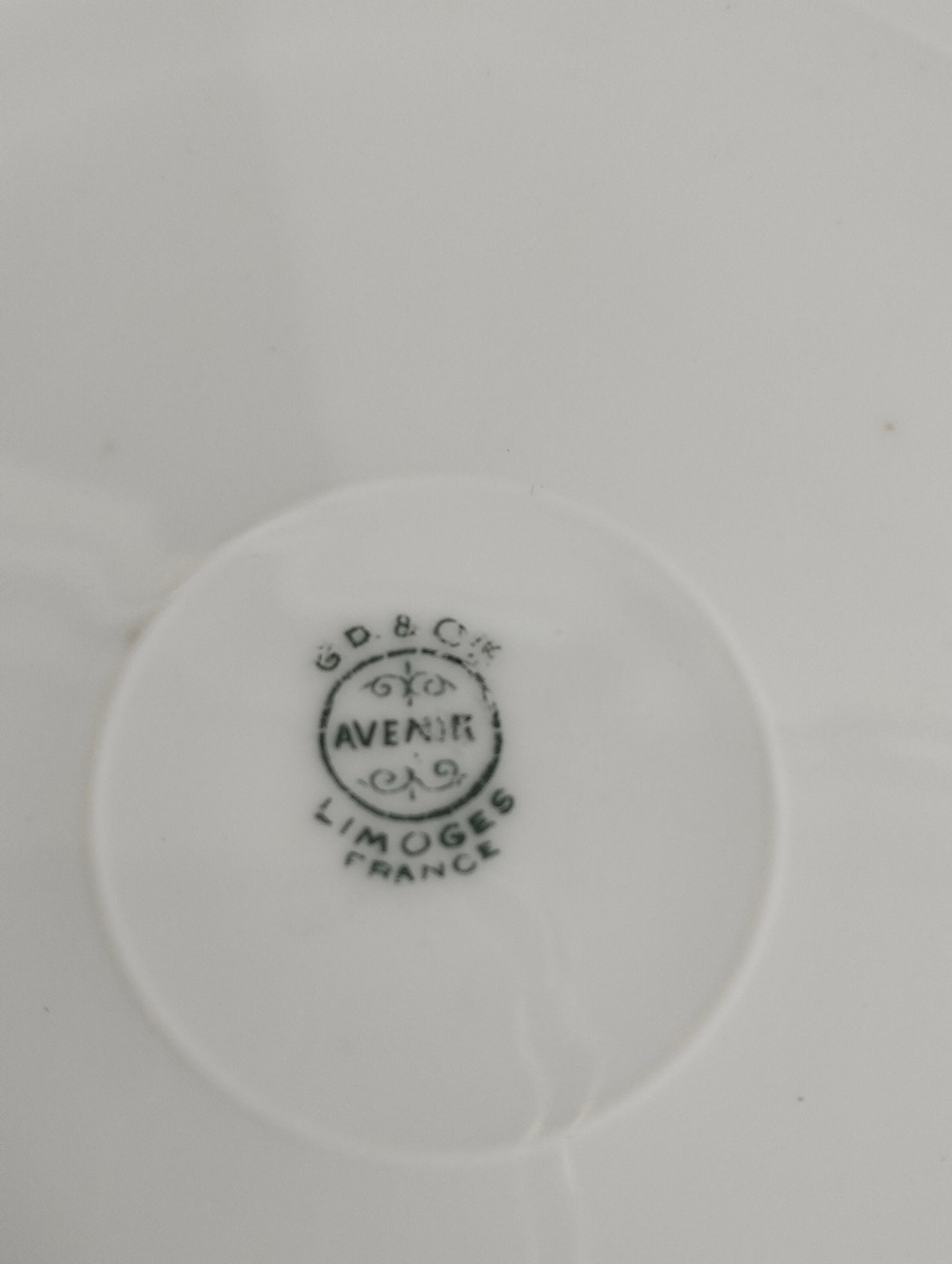 Piatto decorativo a venir France Limoge