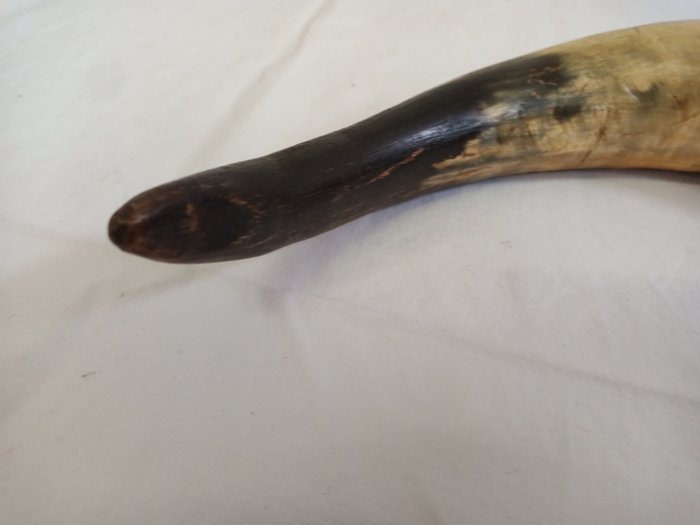 Corno Decorativo con Tappo in Legno - Un Pezzo unico per l'Arredamento