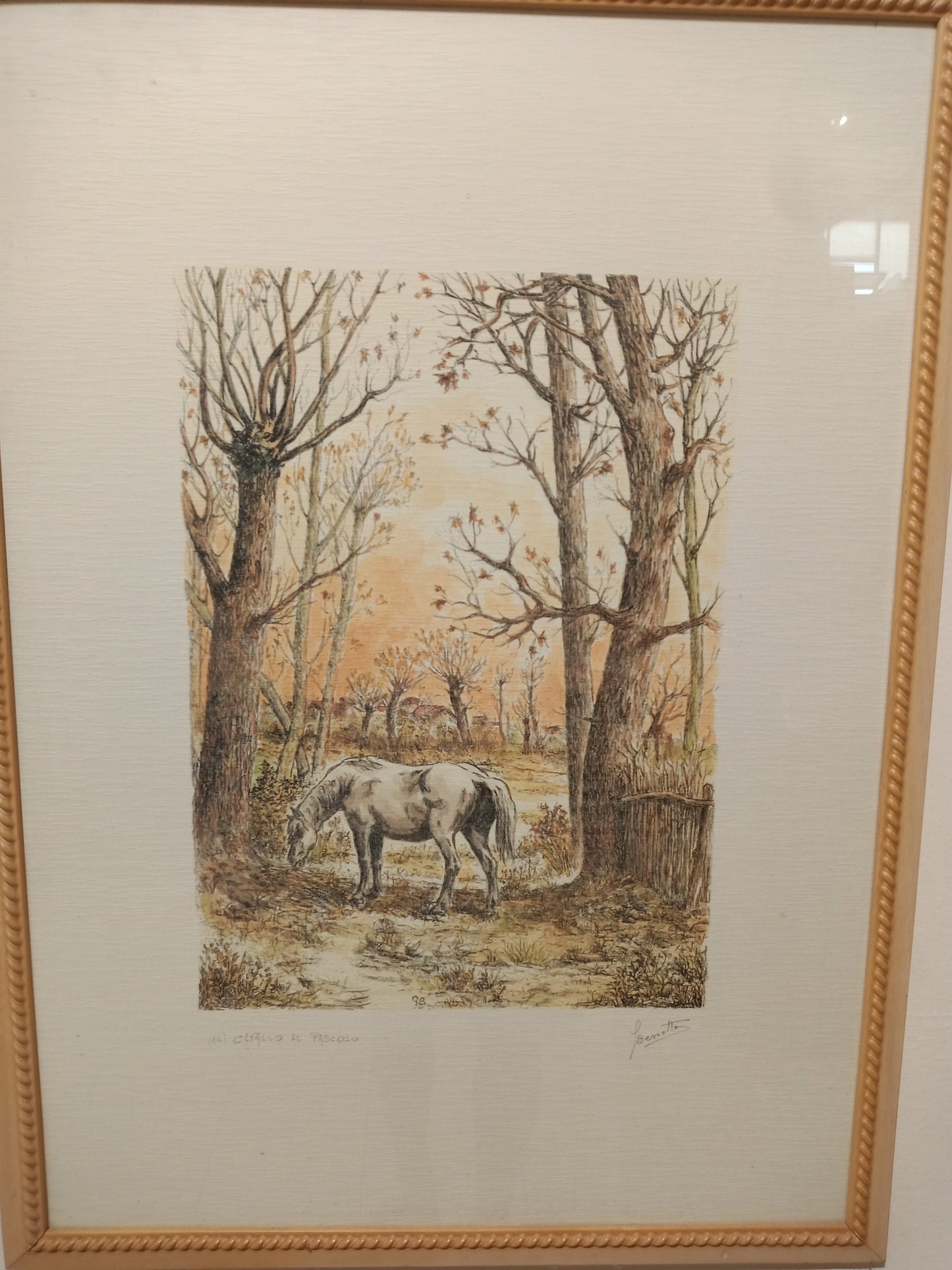 Litografia cavallo al pascolo