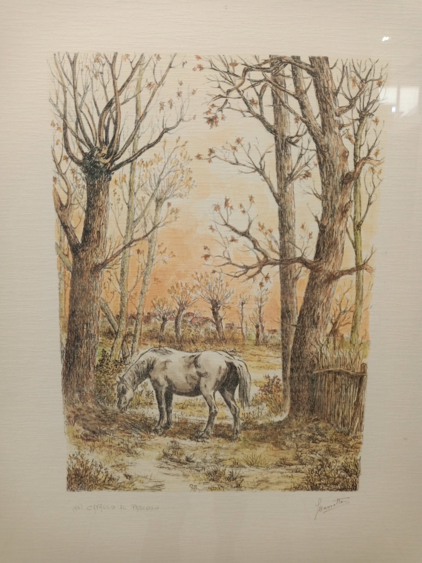 Litografia cavallo al pascolo