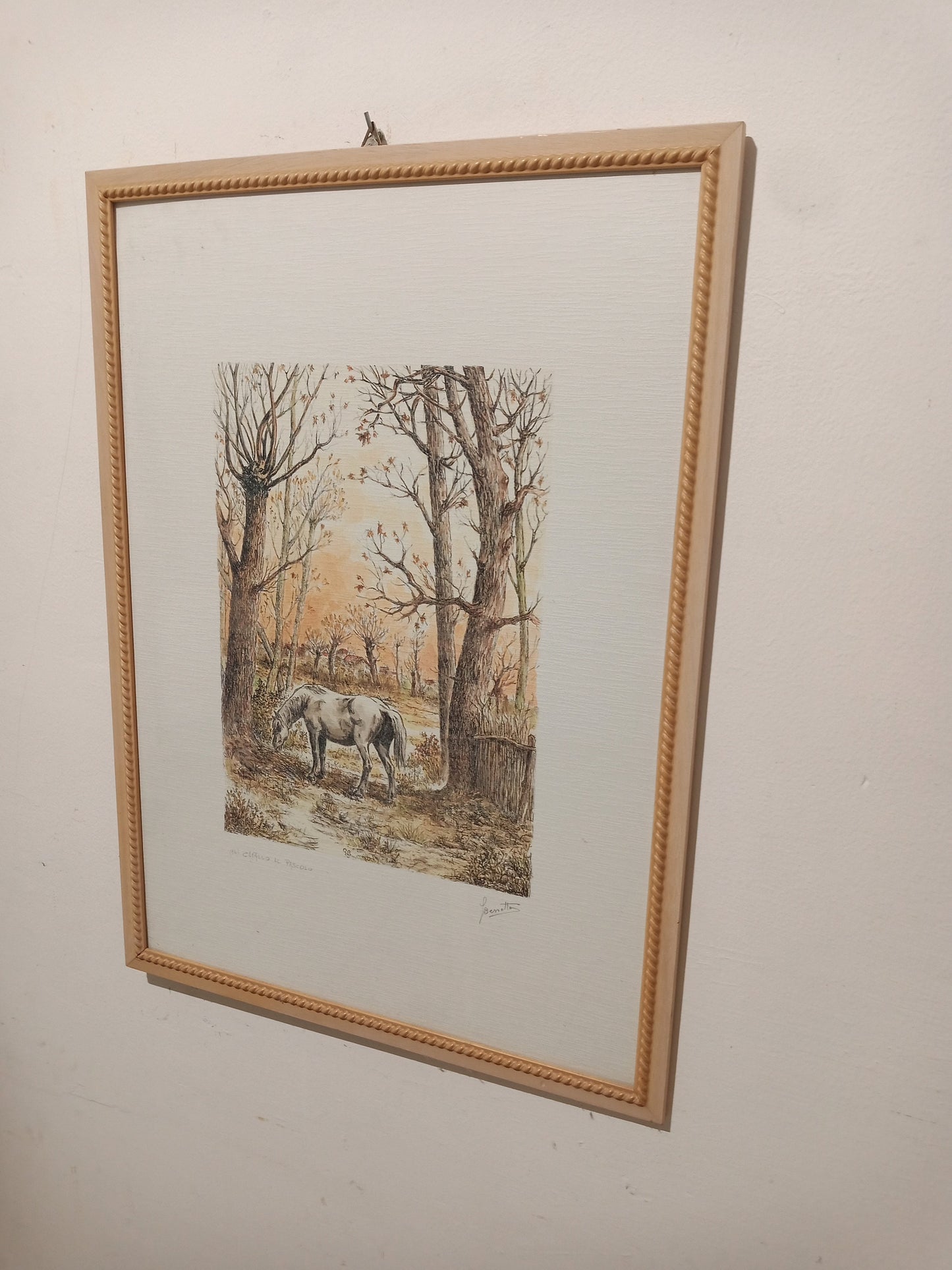 Litografia cavallo al pascolo