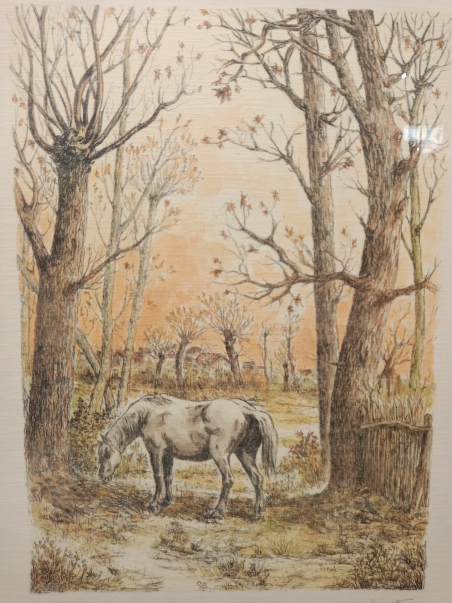 Litografia cavallo al pascolo