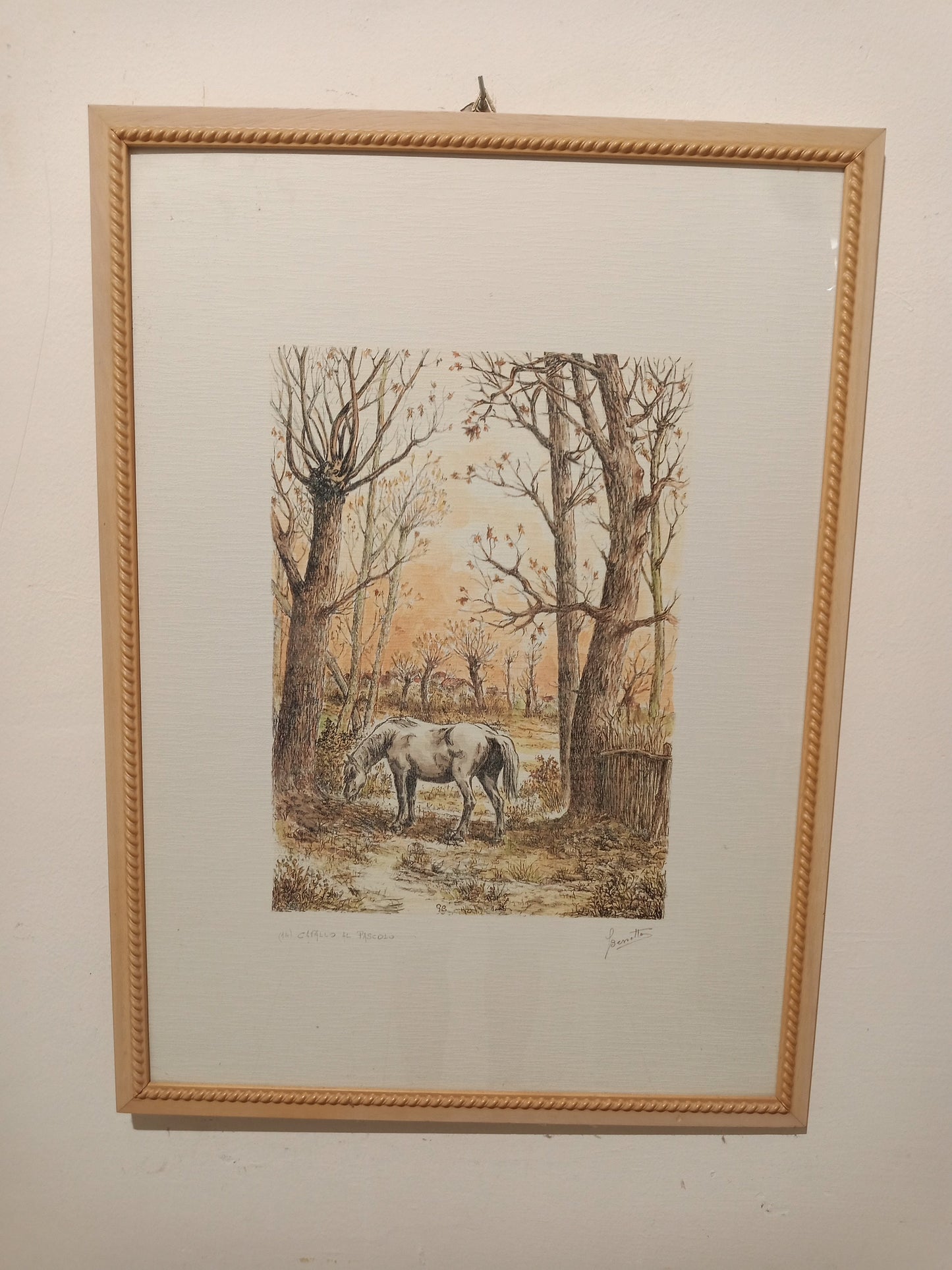 Litografia cavallo al pascolo
