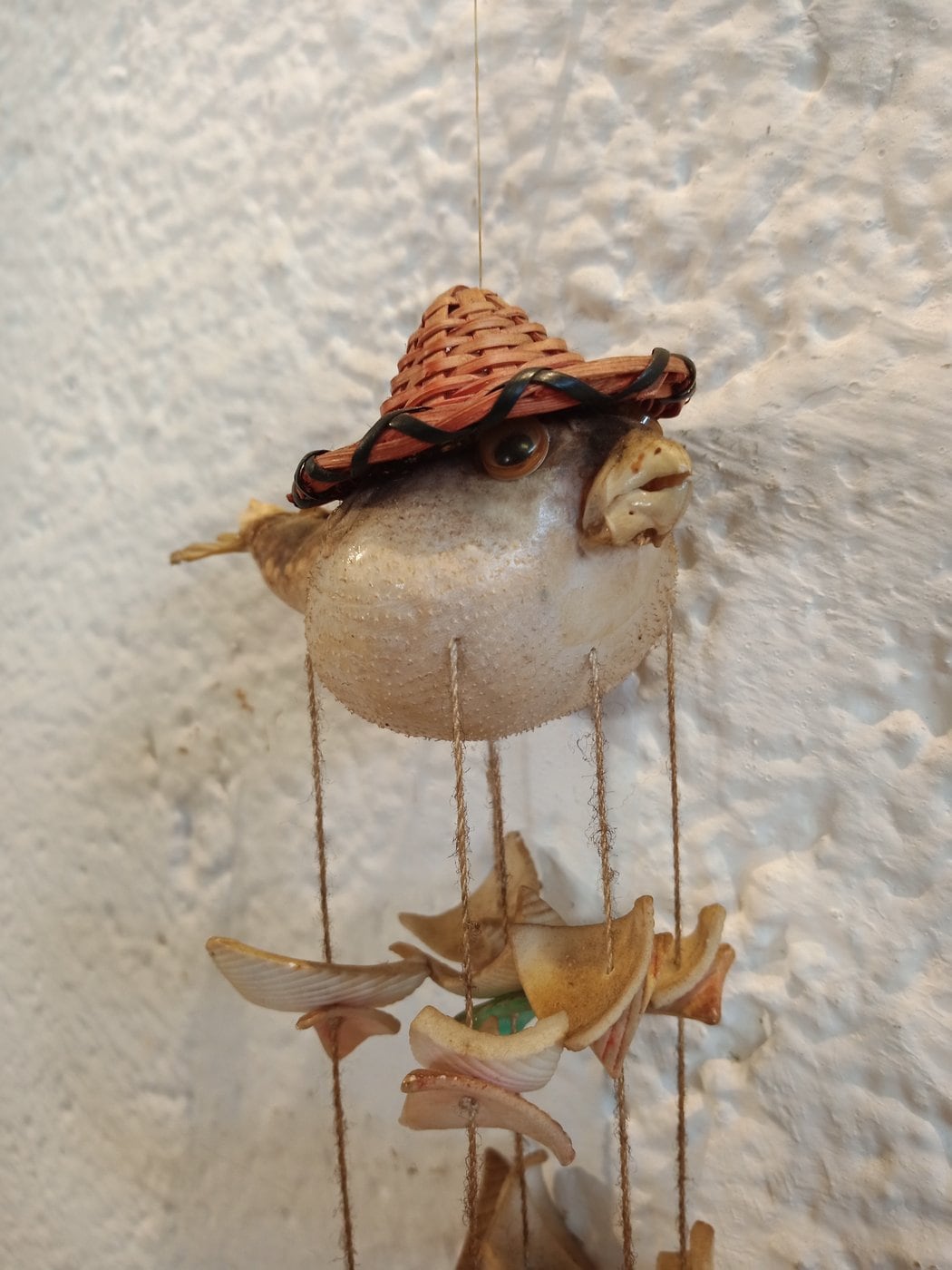 Scaccia Pensieri con Pesce Palla Artigianale - Atmosfera Rilassante e Unicità nella Tua Casa