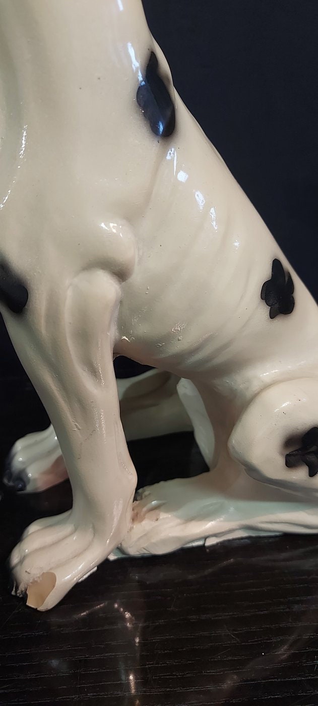Scultura Vintage cane di razza da collezione Anni '50/'60 - 30x35x5 cm statua cane seduto
