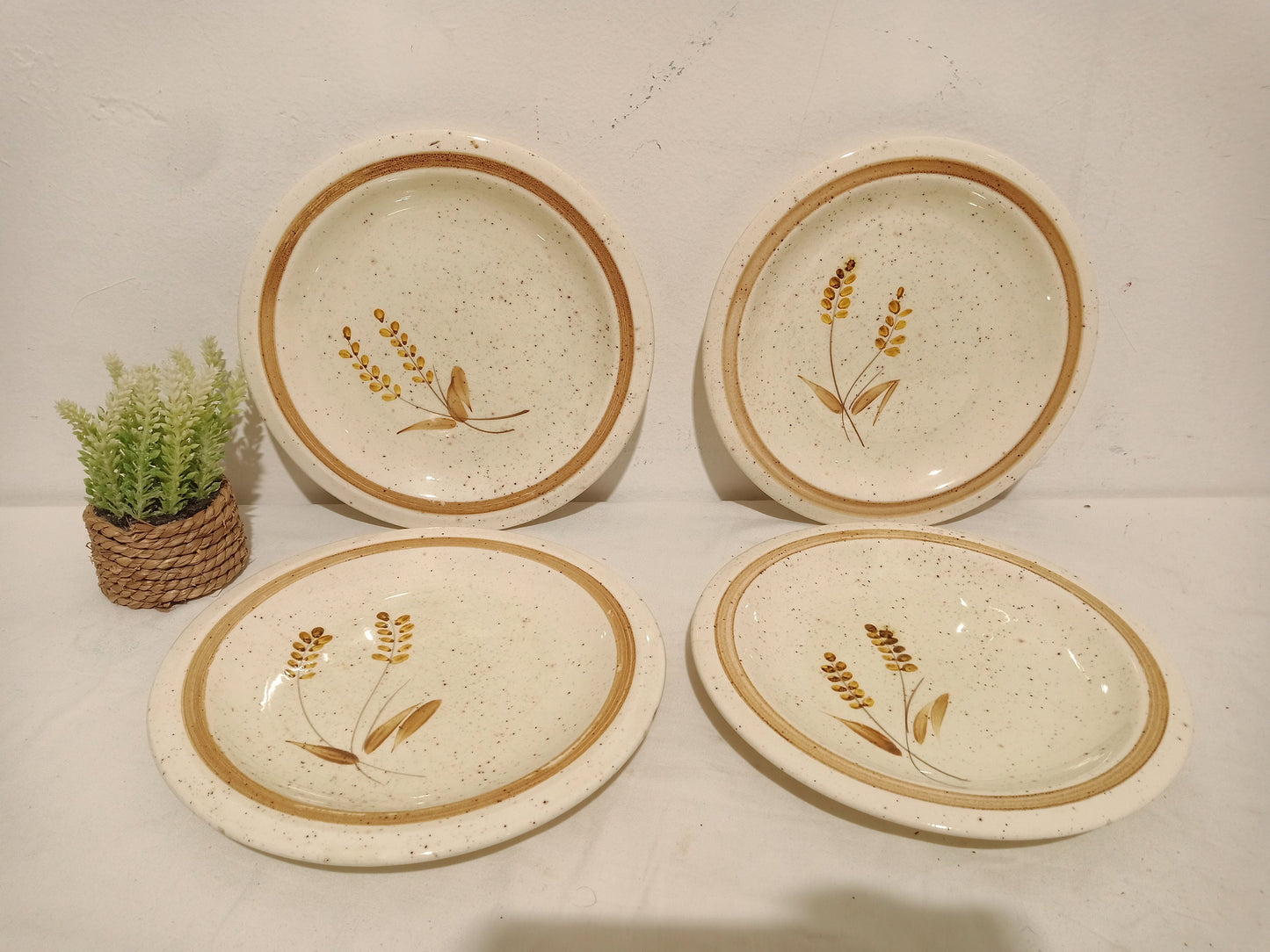 Servizio Piatti Vintage ceramica CCC - Made in Italy - Dipinti a Mano