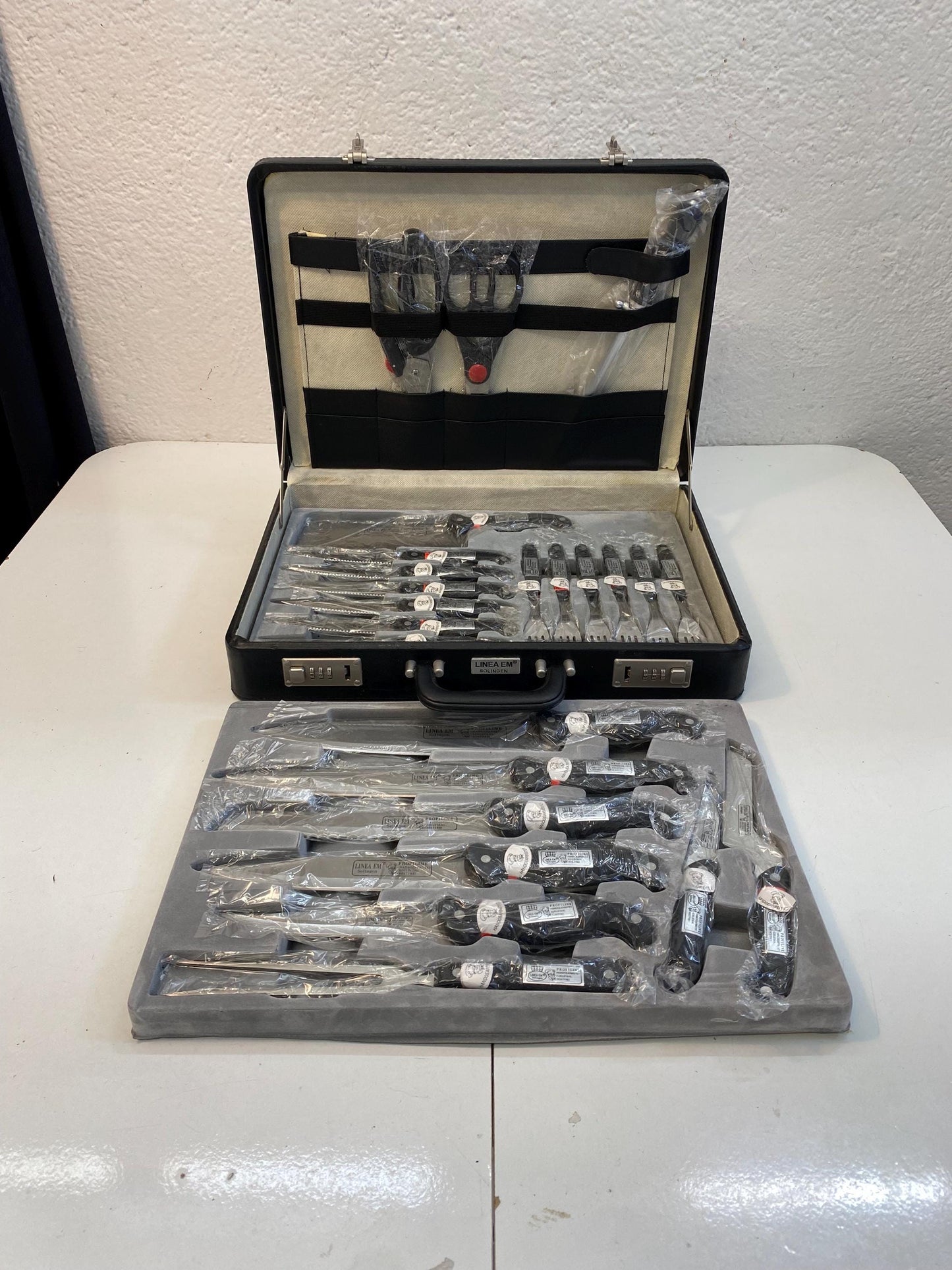 Set Coltelli e Posate Solingen 24 Pezzi ProfiLine Germania Acciaio Inox Artigianale con Valigetta con Serratura
