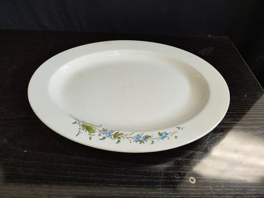 Piatto Ovale Ginori Ricciard - Eleganza e Stile in Cucina