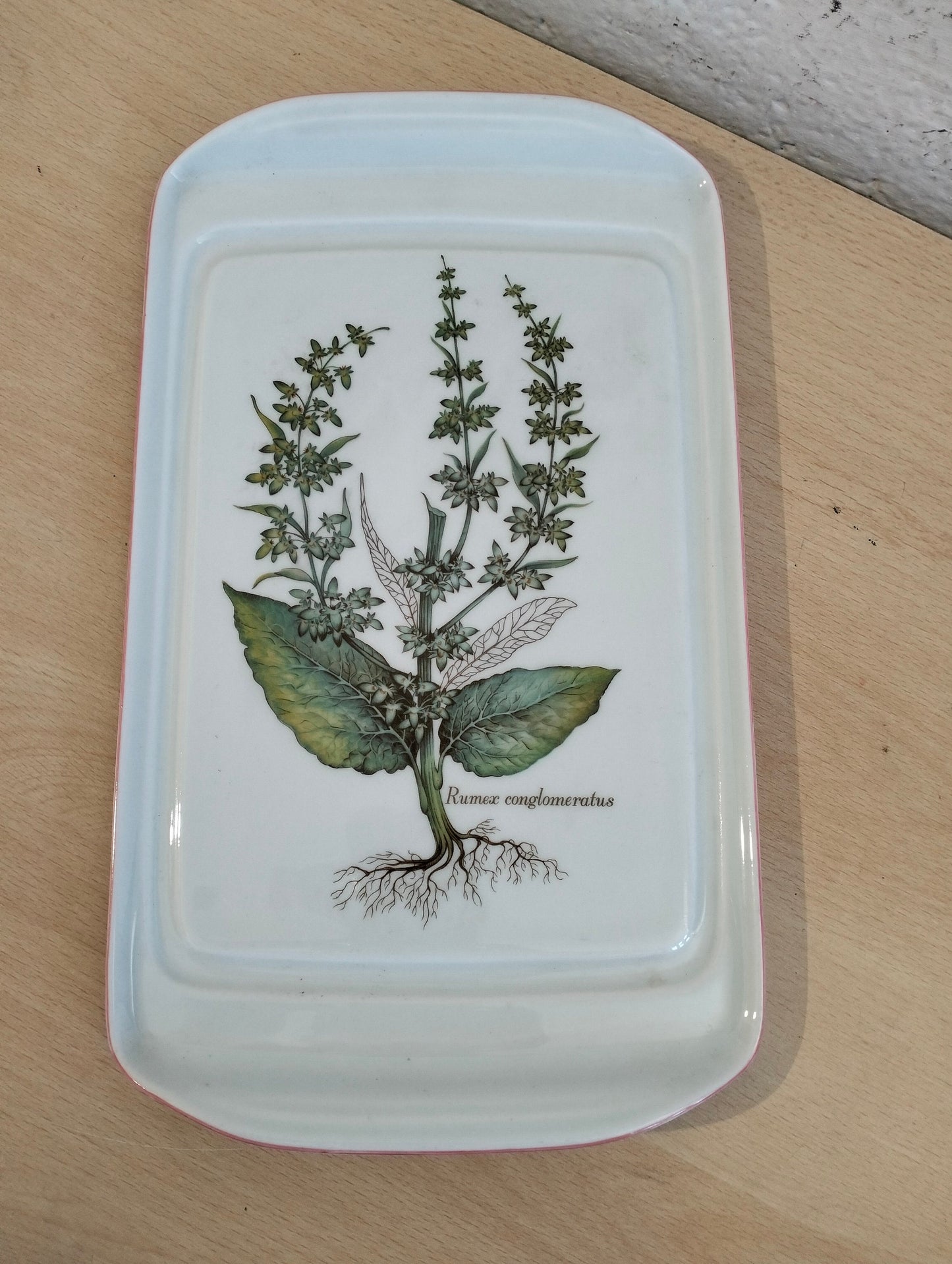 Vassoio in porcellana rumex conglomeratis