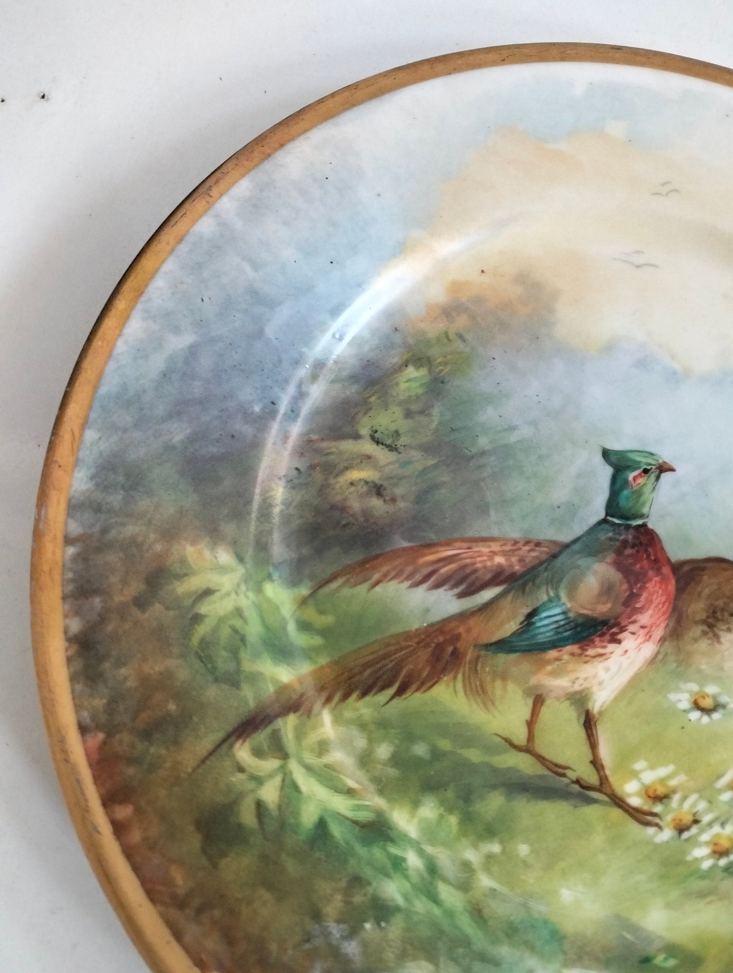Piatto decorativo a venir France Limoge