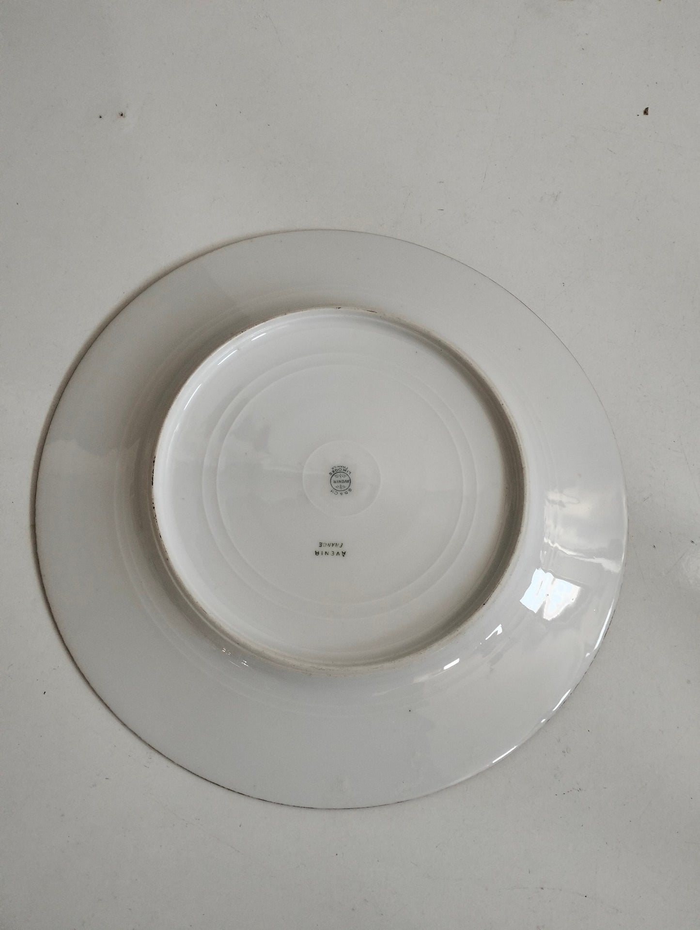 Piatto decorativo a venir France Limoge