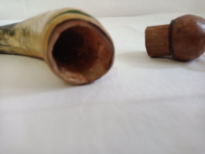 Corno Decorativo con Tappo in Legno - Un Pezzo unico per l'Arredamento