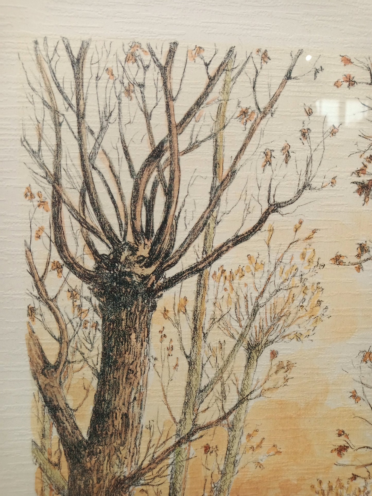 Litografia cavallo al pascolo