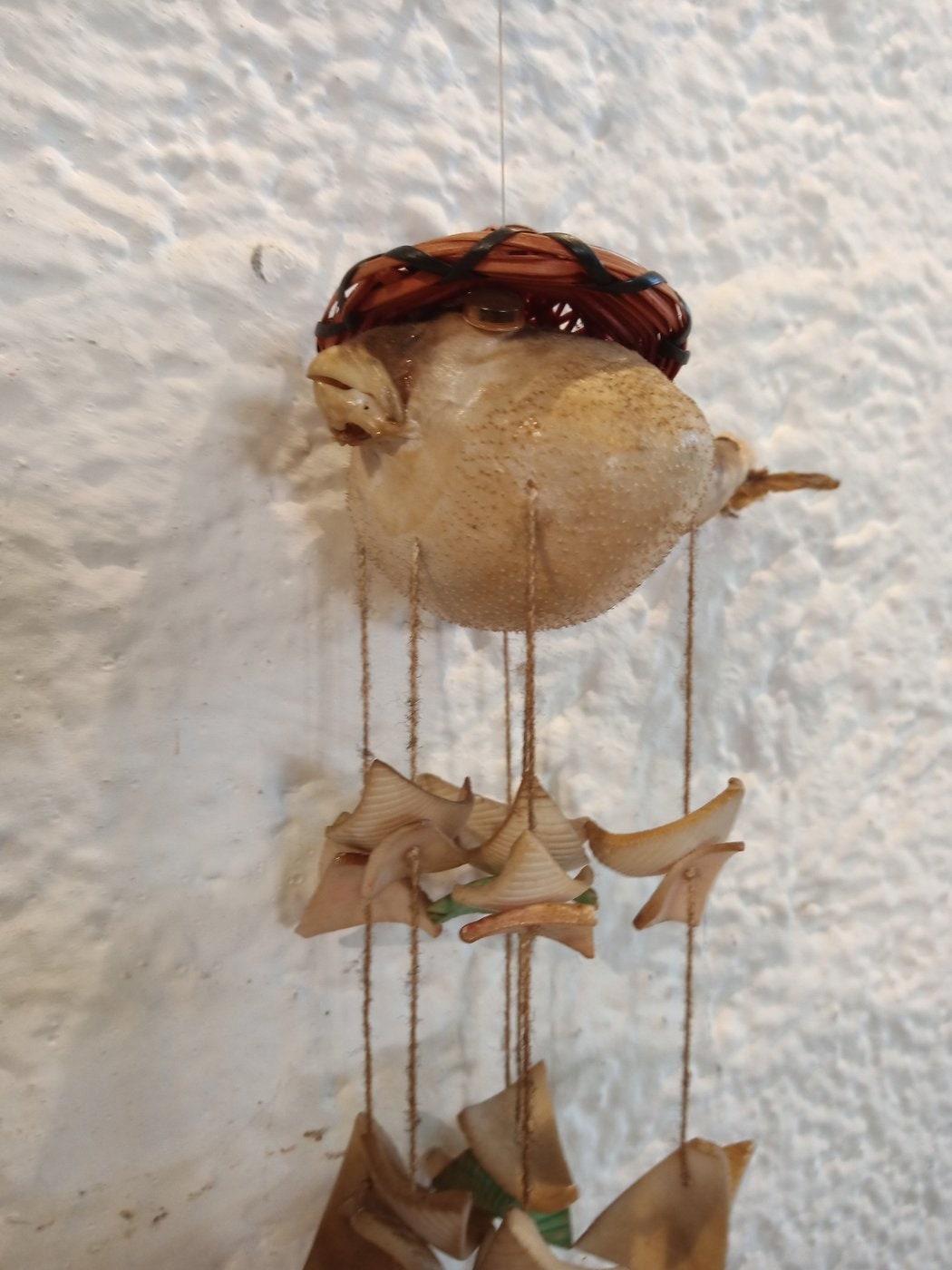 Scaccia Pensieri con Pesce Palla Artigianale - Atmosfera Rilassante e Unicità nella Tua Casa