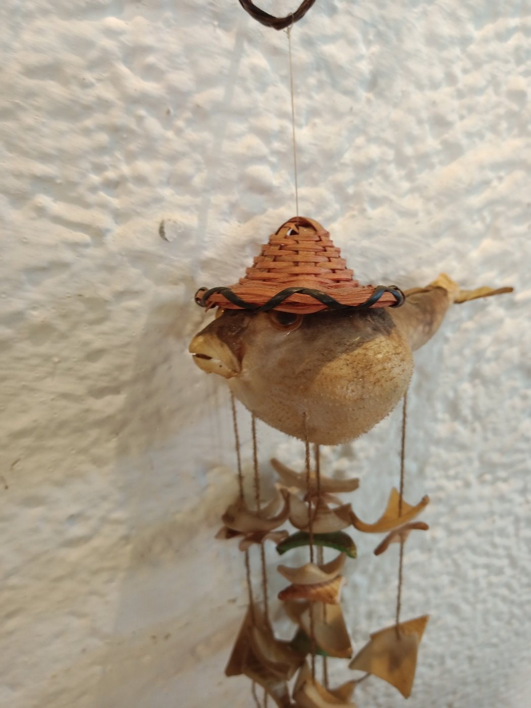 Scaccia Pensieri con Pesce Palla Artigianale - Atmosfera Rilassante e Unicità nella Tua Casa