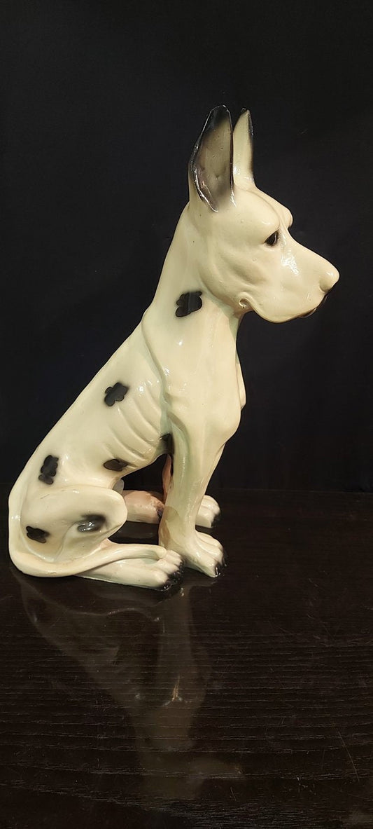 Scultura Vintage cane di razza da collezione Anni '50/'60 - 30x35x5 cm statua cane seduto