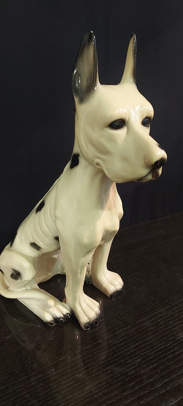 Scultura Vintage cane di razza da collezione Anni '50/'60 - 30x35x5 cm statua cane seduto