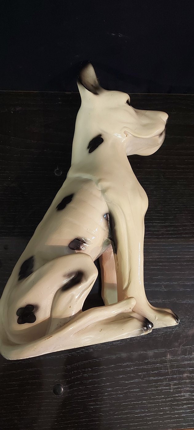 Scultura Vintage cane di razza da collezione Anni '50/'60 - 30x35x5 cm statua cane seduto