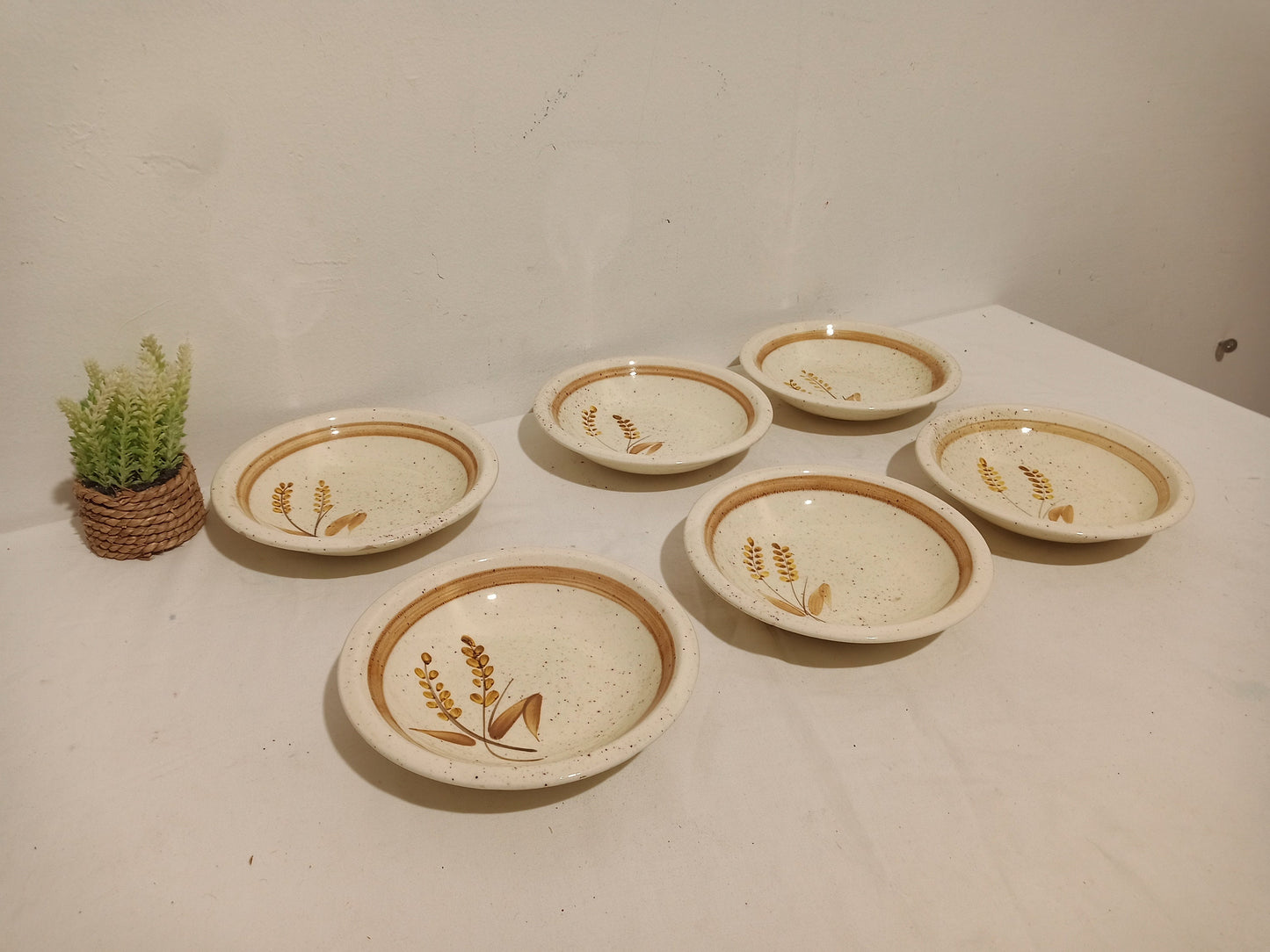 Servizio Piatti Vintage ceramica CCC - Made in Italy - Dipinti a Mano