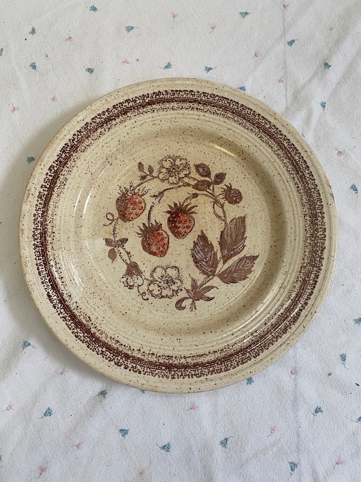 Piatto Vintage da Cena Churchill Homespun Stonecast Range | 24cm | Prodotto in Inghilterra