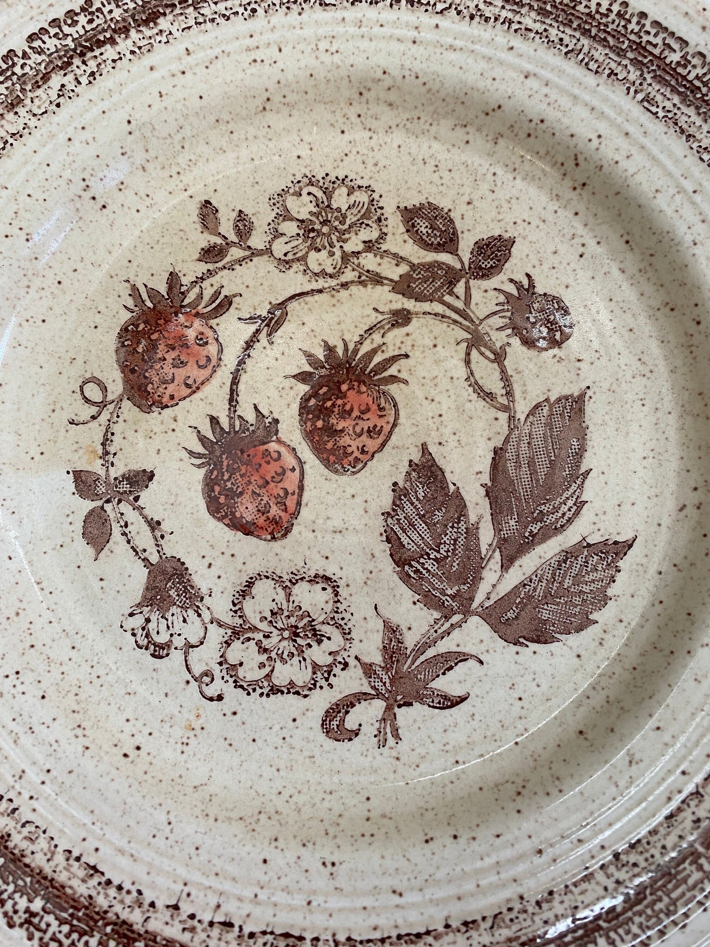 Piatto Vintage da Cena Churchill Homespun Stonecast Range | 24cm | Prodotto in Inghilterra