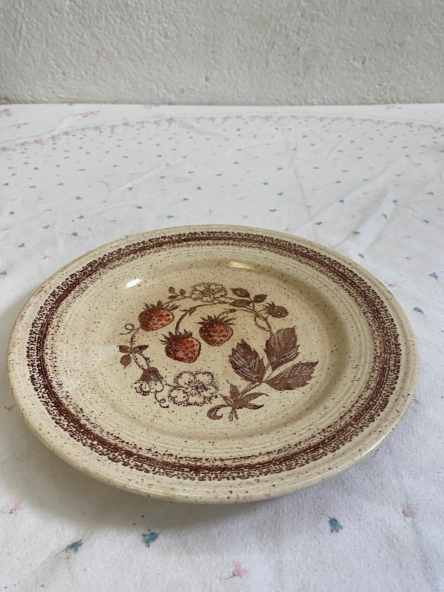Piatto Vintage da Cena Churchill Homespun Stonecast Range | 24cm | Prodotto in Inghilterra